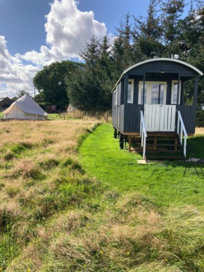 Roslin Glamping
